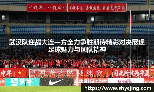 熊猫体育官网入口