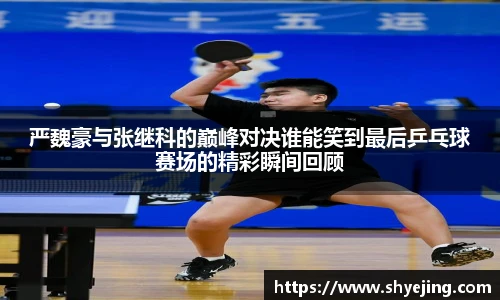 熊猫体育官网